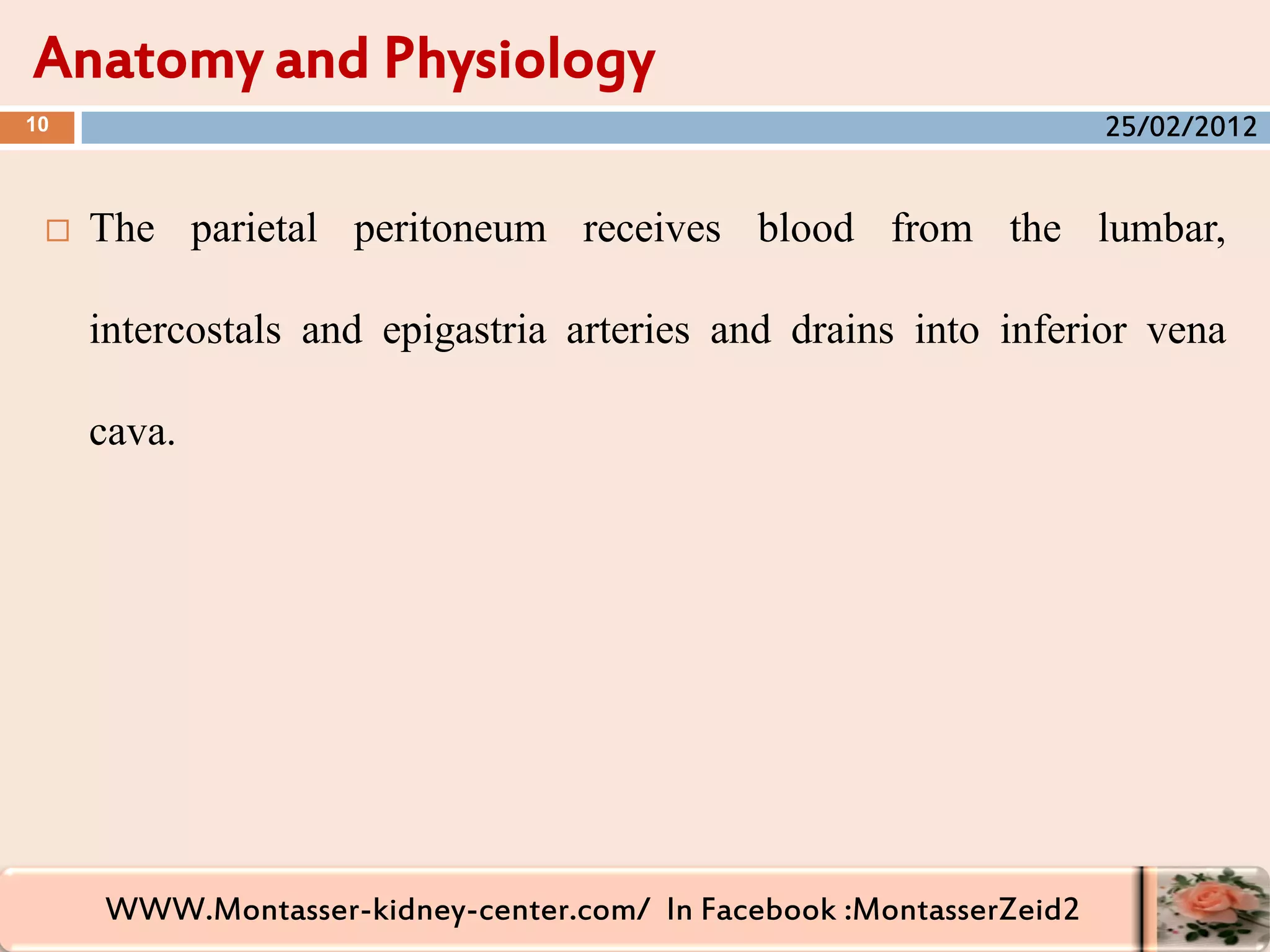 WWW.Montasser-kidney-center.com/ In Facebook :MontasserZeid2
 The parietal peritoneum receives blood from the lumbar,
intercostals and epigastria arteries and drains into inferior vena
cava.
Anatomy and Physiology
10 25/02/2012
 