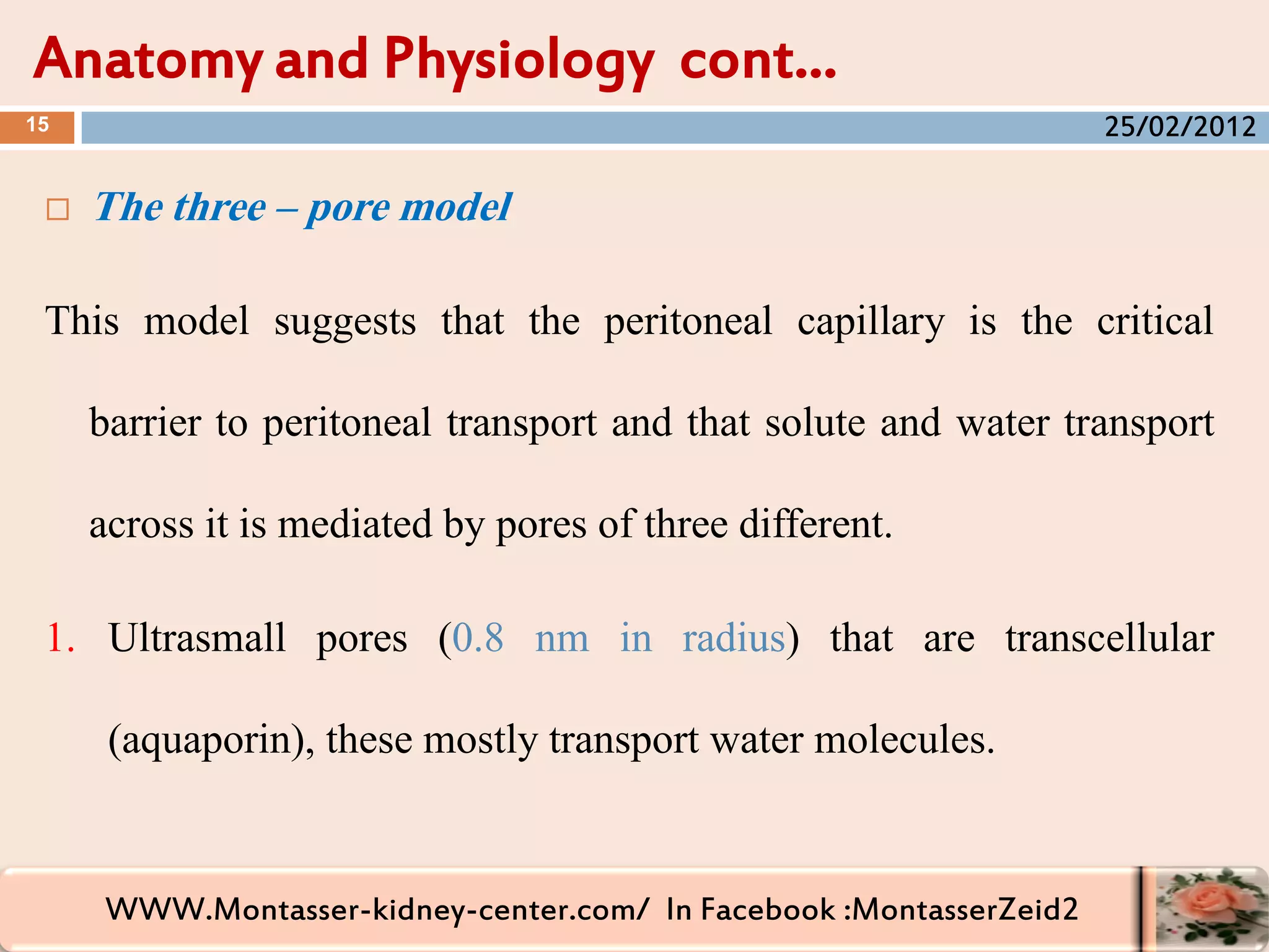 WWW.Montasser-kidney-center.com/ In Facebook :MontasserZeid2
 The three – pore model
This model suggests that the peritoneal capillary is the critical
barrier to peritoneal transport and that solute and water transport
across it is mediated by pores of three different.
1. Ultrasmall pores (0.8 nm in radius) that are transcellular
(aquaporin), these mostly transport water molecules.
Anatomy and Physiology cont…
15 25/02/2012
 