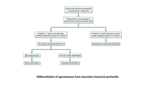Differentiation of spontaneous from secondary bacterial peritonitis
 