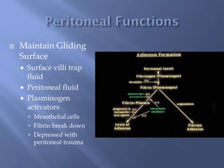  Maintain Gliding
Surface
 Surface villi trap
fluid
 Peritoneal fluid
 Plasminogen
activators
 Mesothelial cells
 Fibrin break down
 Depressed with
peritoneal trauma
 