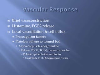  Brief vasoconstriction
 Histamine, PGE2 release
 Local vasodilation & cell influx
 Procoagulant factors
 Platelets adhere to wound bed
 Alpha corpuscles degranulate
 Release PDGF, TGF-β, dense corpuscles
 Release epinephrine, serotonin
 Contribute to PG & leukotriene release
 