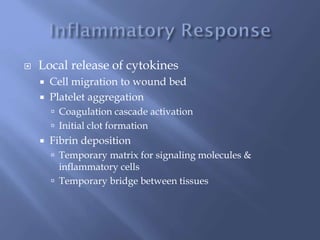  Local release of cytokines
 Cell migration to wound bed
 Platelet aggregation
 Coagulation cascade activation
 Initial clot formation
 Fibrin deposition
 Temporary matrix for signaling molecules &
inflammatory cells
 Temporary bridge between tissues
 