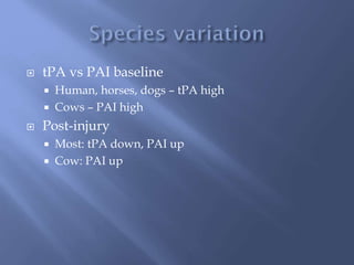  tPA vs PAI baseline
 Human, horses, dogs – tPA high
 Cows – PAI high
 Post-injury
 Most: tPA down, PAI up
 Cow: PAI up
 