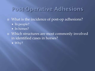  What is the incidence of post-op adhesions?
 In people?
 In horses?
 Which structures are most commonly involved
in identified cases in horses?
 Why?
 