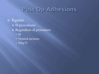  Equine
 SI procedures
 Regardless of procedure
 SI
 Ventral incision
 Why??
 