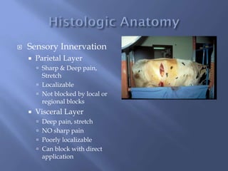  Sensory Innervation
 Parietal Layer
 Sharp & Deep pain,
Stretch
 Localizable
 Not blocked by local or
regional blocks
 Visceral Layer
 Deep pain, stretch
 NO sharp pain
 Poorly localizable
 Can block with direct
application
 