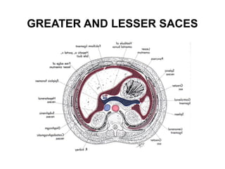 GREATER AND LESSER SACES

 