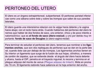 PERITONEO DEL UTERO
El útero es un órgano extraperitoneal, subperitoneal. El peritoneo parietal inferior
cae como una sábana sobre éste y sobre las trompas que salen de sus paredes
laterales.

El útero guarda una intensísima relacion con la vejiga hacia delante y la vagina
hacia abajo; con el recto hacia atrás. Cuando hablamos del peritoneo del útero te
nemos que hablar de dos fondos de saco, uno anterior, chico y de poco interés a
natomoclínico: que es el fondo de saco últero-vesical; y uno por detrás muy im
portante: fondo de saco de Douglas (o útero-vagino-rectal)

Para terminar de estudiar el peritoneo del útero, tenemos que nombrar a los liga-
mentos anchos, que son dos repliegues de peritoneo que se dan en la parte late
ral, cuando éste cae por debajo de las trompas. Los ligamentos anchos tienen en
Su interior un ligamento que surge de la fusión de sus hojas, cilíndrico, a manera
de cordón de zapatos, que se extiende desde el ángulo del útero hacia delante
y afuera, hasta el OIP, penetra en el trayecto inguinal, lo recorre y termina en el
pliegue adiposo del monte de venus (Pliegue adiposo de Imlach). Mide en prome
dio 15 cm. El ligamento redondo hace saliencia en la hoja anteriror del ancho.
 