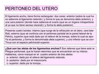 PERITONEO DEL UTERO
El ligamento ancho, tiene forma rectangular: dos caras: anterior (sobre la cual ha
ce saliencia el ligamento redondo ( y forma lo que se denomina aleta anterior), y
una cara poterior (donde hace saliencia el ovario (que es un órgano intraperitone
al ya que no tiene serosa visceral) ( y forma la aleta posterior).

Presenta cuatro bordes: interno (que surge de la refracción en el útero, cara late-
Ral), externo (que sé continúa con el peritoneo parietal de la pared lateral de la
Pelvis), superior (que está dado por el relieve de la trompa, sobre la cual se apo-
Ya el peritoneo, y forma la denominada aleta superior), y uno inferior que se con-
Tinua con el espacio pelvirectal superior.

¿Qué son las aletas de los ligamentos anchos? Son relieves que tiene este re
Pliegue peritoneal, que le hacen elemntos que se encuentran en su interior.
Hablamos, como marqué en el cuadro anterior de tres aletas:
 a- anterior: dada por el relieve del ligamento redondo.
 b- posterior: dada por el mesoovario.
 c- superior: dada por la trompa. .
 
