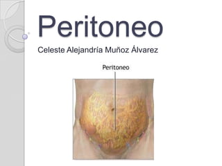 Peritoneo
Celeste Alejandría Muñoz Álvarez
 