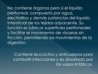 No contiene órganos pero si el liquido
peritoneal, compuesto por agua,
electrolitos y demás sustancias del liquido
intersticial de los tejidos adyacente. Su
función es lubricar superficies peritoneales
y facilitar el movimiento de vísceras sin
fricción, permitiendo los movimientos de la
digestión.
Contiene leucocitos y anticuerpos para
combatir infecciones y es absorbido por
los vasos linfáticos.
 