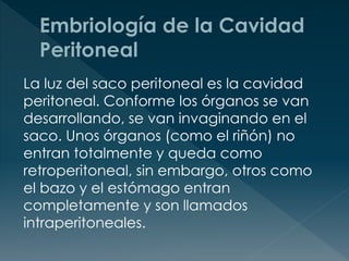La luz del saco peritoneal es la cavidad
peritoneal. Conforme los órganos se van
desarrollando, se van invaginando en el
saco. Unos órganos (como el riñón) no
entran totalmente y queda como
retroperitoneal, sin embargo, otros como
el bazo y el estómago entran
completamente y son llamados
intraperitoneales.
 