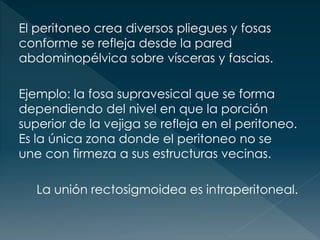 El peritoneo crea diversos pliegues y fosas
conforme se refleja desde la pared
abdominopélvica sobre vísceras y fascias.
Ejemplo: la fosa supravesical que se forma
dependiendo del nivel en que la porción
superior de la vejiga se refleja en el peritoneo.
Es la única zona donde el peritoneo no se
une con firmeza a sus estructuras vecinas.
La unión rectosigmoidea es intraperitoneal.
 