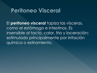 El peritoneo visceral tapiza las vísceras,
como el estómago e intestinos. Es
insensible al tacto, calor, frio y laceración;
estimulado principalmente por irritación
química o estiramiento.
 