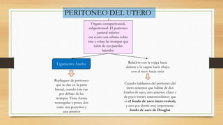 PERITONEO DEL UTERO
Organo extraperitoneal,
subperitoneal. El peritoneo
parietal inferior
cae como una sábana sobre
éste y sobre las trompas que
salen de sus paredes
laterales.
Ligamento Ancho
Repliegues de peritoneo
que se dan en la parte
lateral, cuando éste cae
por debajo de las
trompas. Tiene forma
rectangular y posee dos
caras una posterior y
una anterior
Relación con la vejiga hacia
delante y la vagina hacia abajo;
con el recto hacia atrás
Cuando hablamos del peritoneo del
útero tenemos que hablar de dos
fondos de saco, uno anterior, chico y
de poco interés anatomoclínico: que
es el fondo de saco útero-vesical;
y uno por detrás muy importante:
fondo de saco de Douglas
 