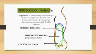 PERITONEO - Definición
PORCIÓN TORÁCICA
PORCIÓN ABDOMINAL
(propiamente dicha)
PORCIÓN PELVIANA
El peritoneo es la membrana que cubre la mayor
parte de los órganos del abdomen. Está
compuesto de una capa de mesotelio que
descansa sobre una capa delgada de tejido
conectivo.
 