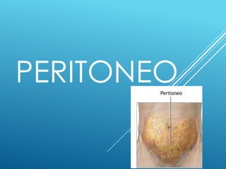 PERITONEO
 