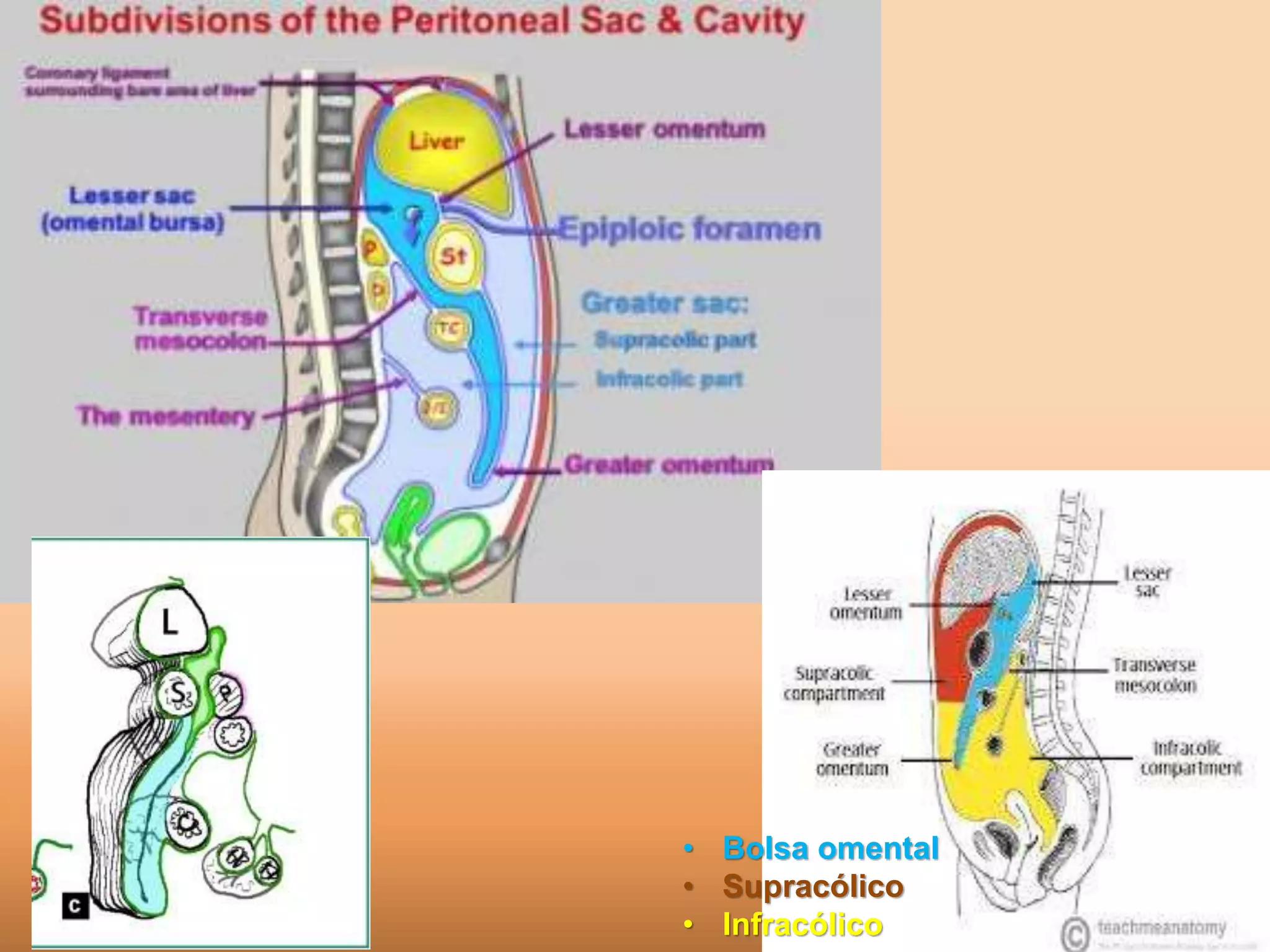 Carcinomatose Peritoneal e outras Anomalias | PPT