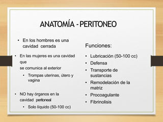 ANATOMÍA -PERITONEO
• En los hombres es una
cavidad cerrada
• En las mujeres es una cavidad
que
se comunica al exterior
• Trompas uterinas, útero y
vagina
• NO hay órganos en la
cavidad peritoneal
• Solo líquido (50-100 cc)
Funciones:
• Lubricación (50-100 cc)
• Defensa
• Transporte de
sustancias
• Remodelación de la
matriz
• Procoagulante
• Fibrinolisis
 