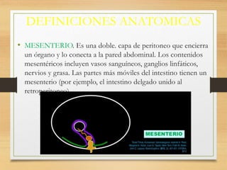 DEFINICIONES ANATOMICAS
• MESENTERIO. Es una doble. capa de peritoneo que encierra
un órgano y lo conecta a la pared abdominal. Los contenidos
mesentéricos incluyen vasos sanguíneos, ganglios linfáticos,
nervios y grasa. Las partes más móviles del intestino tienen un
mesenterio (por ejemplo, el intestino delgado unido al
retroperitoneo).
 