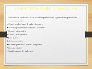 ESPACIOS PERITONEALES
El mesocolon transverso divide la cavidad peritoneal en 2 grandes compartimentos
1. Supramesocólico
• Espacios subfrénicos derecho e izquierdo
• Espacios perihepáticos derecho e izquierdo
• Espacio subhepático
• Espacio periesplénico
• Saco menor
2. Inframesocólico
• Gotieras paracólicas derecha e izquierda
• Espacio pélvico
• Porción central del abdomen
 