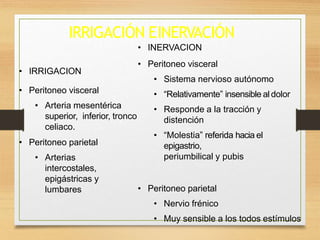 IRRIGACIÓN EINERVACIÓN
• IRRIGACION
• Peritoneo visceral
• Arteria mesentérica
superior, inferior, tronco
celiaco.
• Peritoneo parietal
• Arterias
intercostales,
epigástricas y
lumbares
• INERVACION
• Peritoneo visceral
• Sistema nervioso autónomo
• “Relativamente” insensible al dolor
• Responde a la tracción y
distención
• “Molestia” referida hacia el
epigastrio,
periumbilical y pubis
• Peritoneo parietal
• Nervio frénico
• Muy sensible a los todos estímulos
 