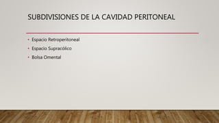 SUBDIVISIONES DE LA CAVIDAD PERITONEAL
• Espacio Retroperitoneal
• Espacio Supracólico
• Bolsa Omental
 
