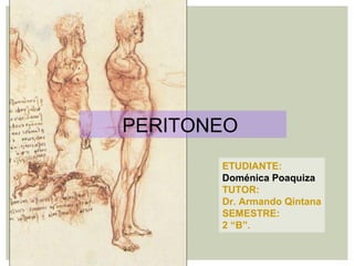 PERITONEO
ETUDIANTE:
Doménica Poaquiza
TUTOR:
Dr. Armando Qintana
SEMESTRE:
2 “B”.
 