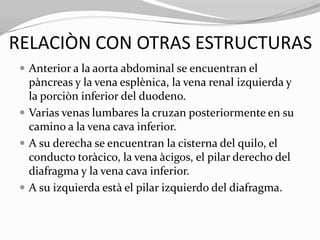 RELACIÒN CON OTRAS ESTRUCTURAS
 Anterior a la aorta abdominal se encuentran el

pàncreas y la vena esplènica, la vena renal izquierda y
la porciòn inferior del duodeno.
 Varias venas lumbares la cruzan posteriormente en su
camino a la vena cava inferior.
 A su derecha se encuentran la cisterna del quilo, el
conducto toràcico, la vena àcigos, el pilar derecho del
diafragma y la vena cava inferior.
 A su izquierda està el pilar izquierdo del diafragma.

 