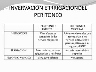 INVERVACIÒN E IRRIGACIÒNDEL
PERITONEO
PERITONEO
PARIETAL

PERITONEO
VÌSCERAL

INERVACIÒN

Vìas aferentes
somàticas de los
nervios raquìdeos

Aferentes viscerales que
acompañan a los
nervios simpàticos y
parasimpàticos en su
regreso al SNC

IRRIGACIÒN

Arterias intercostales,
epigàstricas y lumbares

Arteria mesentèrica
superior

RETORNO VENOSO

Vena cava inferior

Vena porta

 