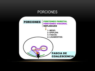 PORCIONES
 