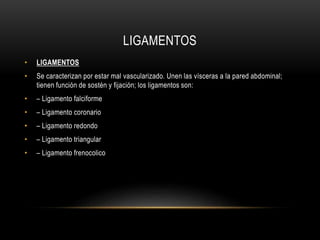 LIGAMENTOS
• LIGAMENTOS
• Se caracterizan por estar mal vascularizado. Unen las vísceras a la pared abdominal;
tienen función de sostén y fijación; los ligamentos son:
• – Ligamento falciforme
• – Ligamento coronario
• – Ligamento redondo
• – Ligamento triangular
• – Ligamento frenocolico
 