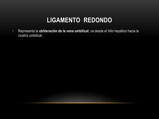 LIGAMENTO REDONDO
• Representa la obliteración de la vena umbilical; va desde el hilio hepático hacia la
cicatriz umbilical.
 