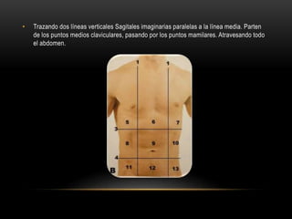 • Trazando dos líneas verticales Sagitales imaginarias paralelas a la línea media. Parten
de los puntos medios claviculares, pasando por los puntos mamilares. Atravesando todo
el abdomen.
 