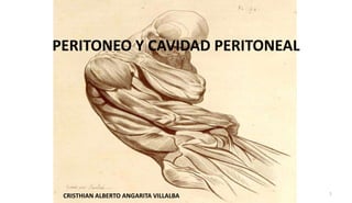 PERITONEO Y CAVIDAD PERITONEAL

CRISTHIAN ALBERTO ANGARITA VILLALBA

1

 