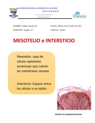 DOCENTE: DR. ARMANDO QUINTANA
NOMBRE: William Paredes M. FECHA: Sábado, 24 de Octubre del 2015
SEMESTRE: Segundo “C” PARCIAL: Primero
MESOTELIO e INTERSTICIO
UNI VERSIDAD R EGIONAL AUTÓNOMA DE LOS ANDES
“U N I A N D E S”
FACULTAD DE CIENCIASMÉDICAS
CARRERA DE MEDICINA
ANATOMÍA II
Mesotelio: capa de
células epiteliales
escamosas que cubren
las membranas serosas.
Intersticio: Espacio entre
las células y un tejido.
 