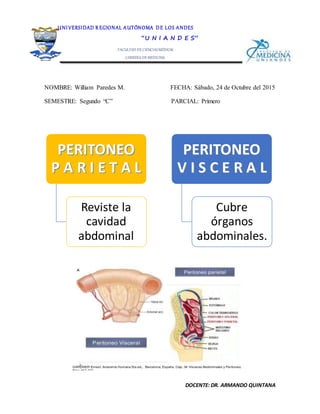DOCENTE: DR. ARMANDO QUINTANA
NOMBRE: William Paredes M. FECHA: Sábado, 24 de Octubre del 2015
SEMESTRE: Segundo “C” PARCIAL: Primero
PERITONEO
P A R I E T A L
Reviste la
cavidad
abdominal
PERITONEO
V I S C E R A L
Cubre
órganos
abdominales.
UNI VERSIDAD R EGIONAL AUTÓNOMA DE LOS ANDES
“U N I A N D E S”
FACULTAD DE CIENCIASMÉDICAS
CARRERA DE MEDICINA
ANATOMÍA II
 