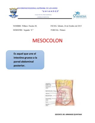 DOCENTE: DR. ARMANDO QUINTANA
NOMBRE: William Paredes M. FECHA: Sábado, 24 de Octubre del 2015
SEMESTRE: Segundo “C” PARCIAL: Primero
MESOCOLON
Es aquel que une el
intestino grueso a la
pared abdominal
posterior.
UNI VERSIDAD R EGIONAL AUTÓNOMA DE LOS ANDES
“U N I A N D E S”
FACULTAD DE CIENCIASMÉDICAS
CARRERA DE MEDICINA
ANATOMÍA II
 