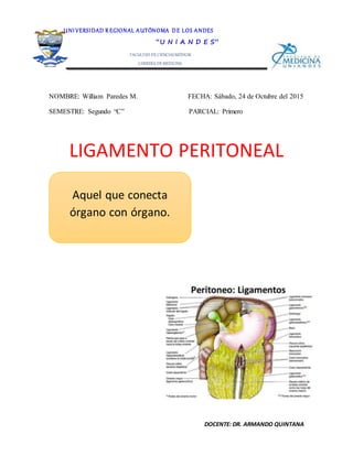 DOCENTE: DR. ARMANDO QUINTANA
NOMBRE: William Paredes M. FECHA: Sábado, 24 de Octubre del 2015
SEMESTRE: Segundo “C” PARCIAL: Primero
LIGAMENTO PERITONEAL
UNI VERSIDAD R EGIONAL AUTÓNOMA DE LOS ANDES
“U N I A N D E S”
FACULTAD DE CIENCIASMÉDICAS
CARRERA DE MEDICINA
ANATOMÍA II
Aquel que conecta
órgano con órgano.
 