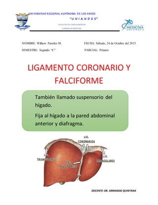 DOCENTE: DR. ARMANDO QUINTANA
NOMBRE: William Paredes M. FECHA: Sábado, 24 de Octubre del 2015
SEMESTRE: Segundo “C” PARCIAL: Primero
LIGAMENTO CORONARIO Y
FALCIFORME
UNI VERSIDAD R EGIONAL AUTÓNOMA DE LOS ANDES
“U N I A N D E S”
FACULTAD DE CIENCIASMÉDICAS
CARRERA DE MEDICINA
ANATOMÍA II
También llamado suspensorio del
hígado.
Fija al hígado a la pared abdominal
anterior y diafragma.
 
