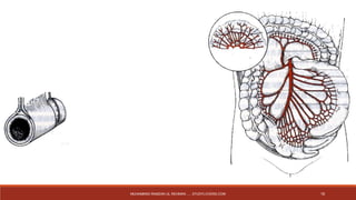 MUHAMMAD RAMZAN UL REHMAN ..... STUDYLOVERS.COM 16 
 