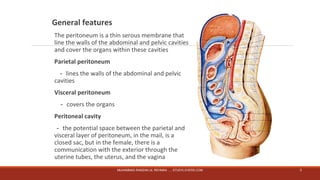 General features 
The peritoneum is a thin serous membrane that 
line the walls of the abdominal and pelvic cavities 
and cover the organs within these cavities 
Parietal peritoneum 
－lines the walls of the abdominal and pelvic 
cavities 
Visceral peritoneum 
－covers the organs 
Peritoneal cavity 
－the potential space between the parietal and 
visceral layer of peritoneum, in the mail, is a 
closed sac, but in the female, there is a 
communication with the exterior through the 
uterine tubes, the uterus, and the vagina 
MUHAMMAD RAMZAN UL REHMAN ..... STUDYLOVERS.COM 3 
 