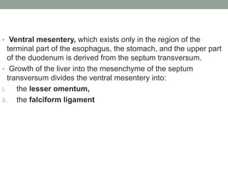 • Ventral mesentery, which exists only in the region of the
terminal part of the esophagus, the stomach, and the upper part
of the duodenum is derived from the septum transversum.
• Growth of the liver into the mesenchyme of the septum
transversum divides the ventral mesentery into:
i. the lesser omentum,
ii. the falciform ligament
 