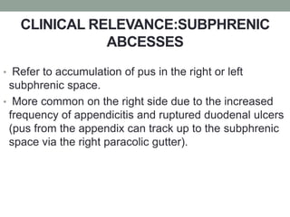 CLINICAL RELEVANCE:SUBPHRENIC
ABCESSES
• Refer to accumulation of pus in the right or left
subphrenic space.
• More common on the right side due to the increased
frequency of appendicitis and ruptured duodenal ulcers
(pus from the appendix can track up to the subphrenic
space via the right paracolic gutter).
 