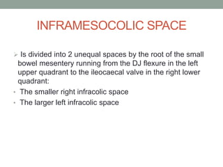 INFRAMESOCOLIC SPACE
 Is divided into 2 unequal spaces by the root of the small
bowel mesentery running from the DJ flexure in the left
upper quadrant to the ileocaecal valve in the right lower
quadrant:
• The smaller right infracolic space
• The larger left infracolic space
 