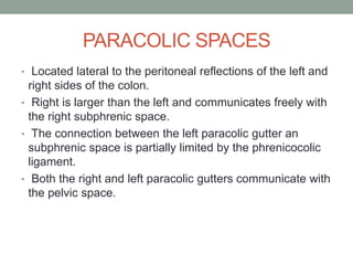 PARACOLIC SPACES
• Located lateral to the peritoneal reflections of the left and
right sides of the colon.
• Right is larger than the left and communicates freely with
the right subphrenic space.
• The connection between the left paracolic gutter an
subphrenic space is partially limited by the phrenicocolic
ligament.
• Both the right and left paracolic gutters communicate with
the pelvic space.
 