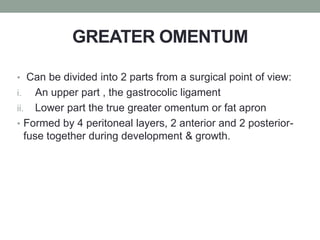 GREATER OMENTUM
• Can be divided into 2 parts from a surgical point of view:
i. An upper part , the gastrocolic ligament
ii. Lower part the true greater omentum or fat apron
• Formed by 4 peritoneal layers, 2 anterior and 2 posterior-
fuse together during development & growth.
 