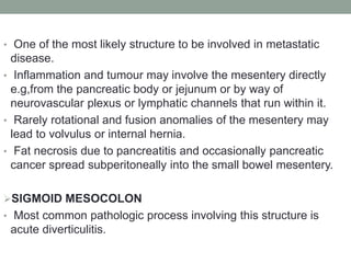 • One of the most likely structure to be involved in metastatic
disease.
• Inflammation and tumour may involve the mesentery directly
e.g,from the pancreatic body or jejunum or by way of
neurovascular plexus or lymphatic channels that run within it.
• Rarely rotational and fusion anomalies of the mesentery may
lead to volvulus or internal hernia.
• Fat necrosis due to pancreatitis and occasionally pancreatic
cancer spread subperitoneally into the small bowel mesentery.
SIGMOID MESOCOLON
• Most common pathologic process involving this structure is
acute diverticulitis.
 