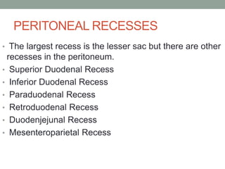 PERITONEAL RECESSES
• The largest recess is the lesser sac but there are other
recesses in the peritoneum.
• Superior Duodenal Recess
• Inferior Duodenal Recess
• Paraduodenal Recess
• Retroduodenal Recess
• Duodenjejunal Recess
• Mesenteroparietal Recess
 