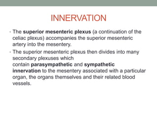 INNERVATION
• The superior mesenteric plexus (a continuation of the
celiac plexus) accompanies the superior mesenteric
artery into the mesentery.
• The superior mesenteric plexus then divides into many
secondary plexuses which
contain parasympathetic and sympathetic
innervation to the mesentery associated with a particular
organ, the organs themselves and their related blood
vessels.
 